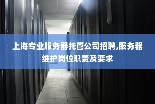 上海专业服务器托管公司招聘,服务器维护岗位职责及要求