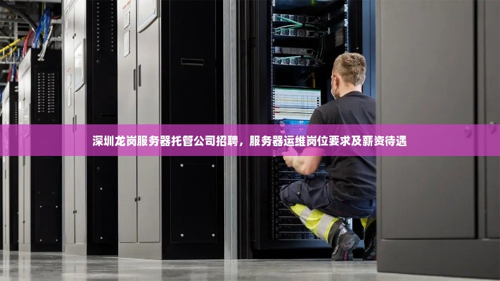 深圳龙岗服务器托管公司招聘，服务器运维岗位要求及薪资待遇
