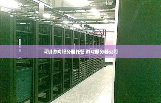 深圳游戏服务器托管 游戏服务器公司