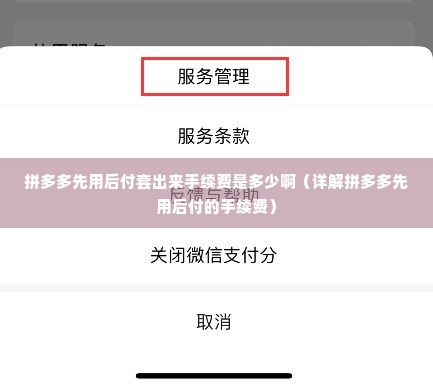 拼多多先用后付套出来手续费是多少啊（详解拼多多先用后付的手续费）