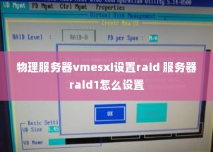 物理服务器vmesxi设置raid 服务器raid1怎么设置