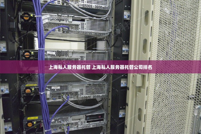 上海私人服务器托管 上海私人服务器托管公司排名