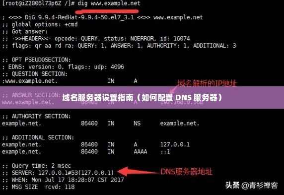 域名服务器设置指南（如何配置 DNS 服务器）
