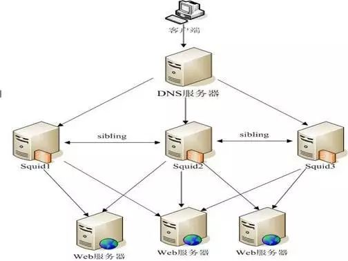 DNS服务器搭建教程（从零开始搭建DNS服务器）
