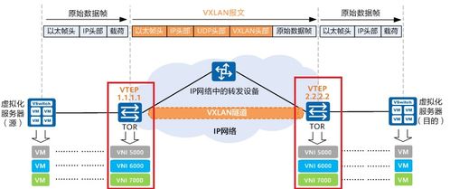 物理服务器配置vxlan地址 物理服务器搭建vps