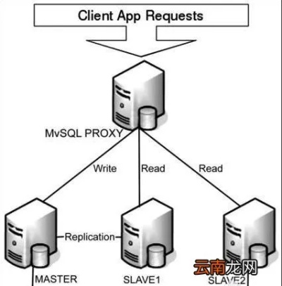 MySQL服务器连接方法详解，实用步骤与技巧