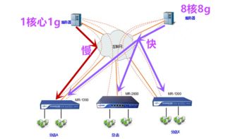 小鸟云服务器，助力企业轻松上云