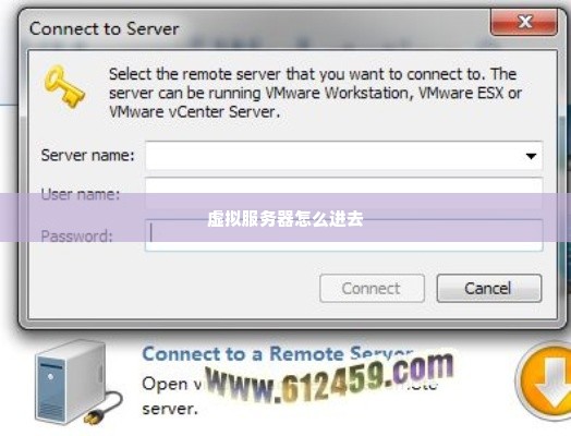 虚拟服务器怎么进去