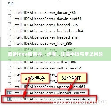 激活Idea服务器，步骤、注意事项与常见问题