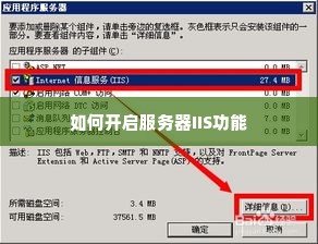 如何开启服务器IIS功能