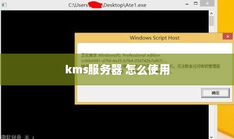 kms服务器 怎么使用