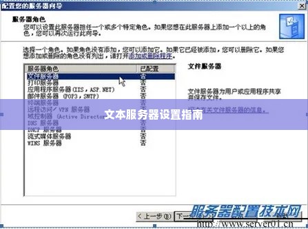 文本服务器设置指南