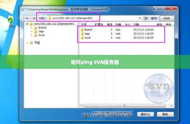 如何ping SVN服务器