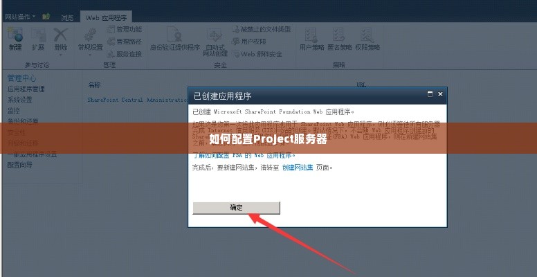 如何配置Project服务器