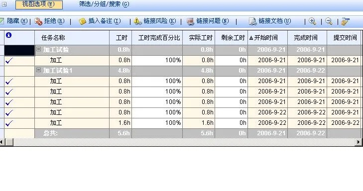 如何配置Project服务器