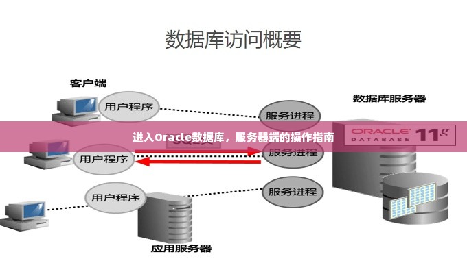 进入Oracle数据库，服务器端的操作指南