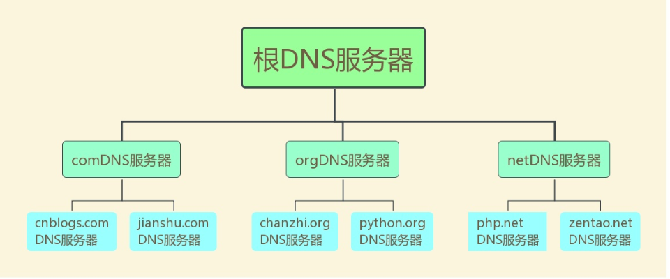 DNS服务器，解析域名，连接互联网