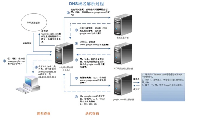 DNS服务器，解析域名，连接互联网