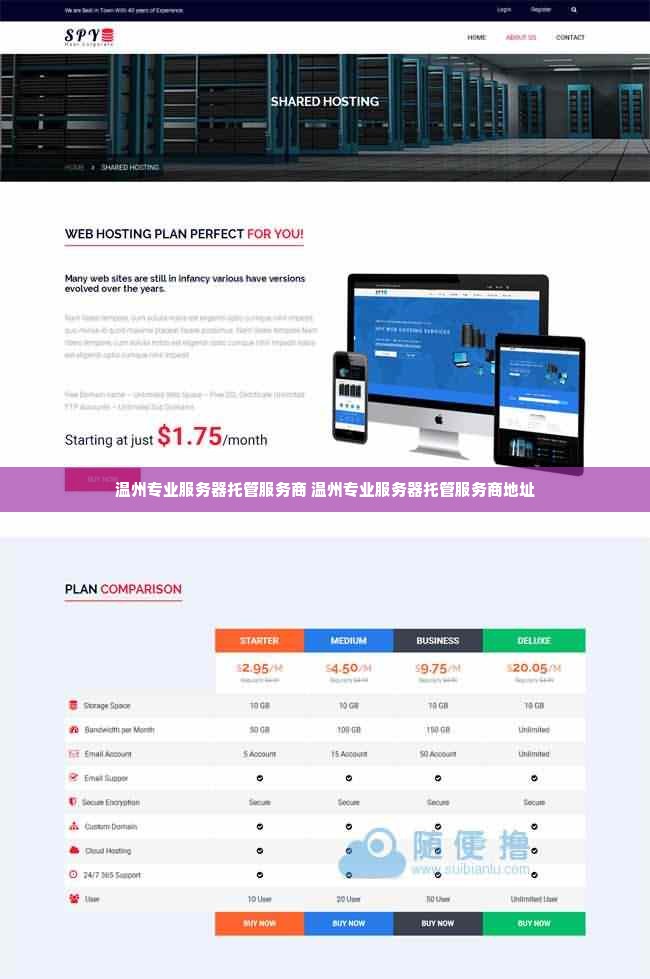 温州专业服务器托管服务商 温州专业服务器托管服务商地址