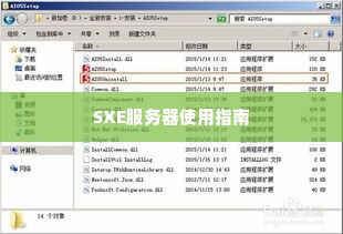 SXE服务器使用指南