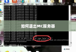 如何退出MC服务器