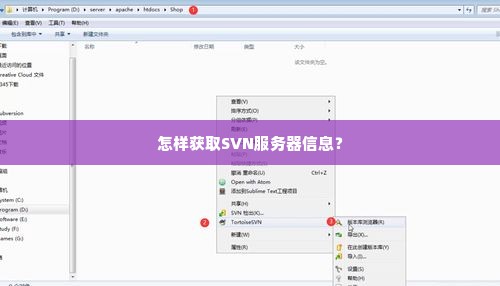 怎样获取SVN服务器信息？