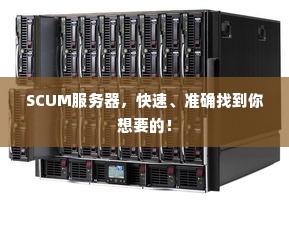 SCUM服务器，快速、准确找到你想要的！