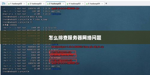 怎么排查服务器网络问题