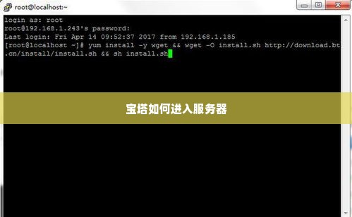 宝塔如何进入服务器