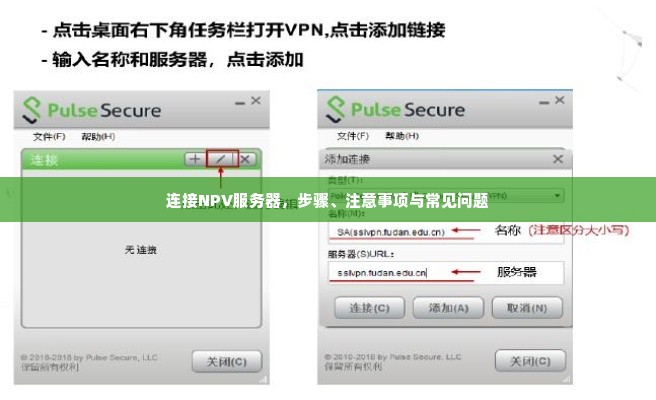 连接NPV服务器，步骤、注意事项与常见问题