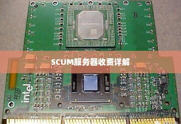 SCUM服务器收费详解