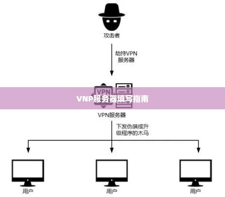 VNP服务器填写指南