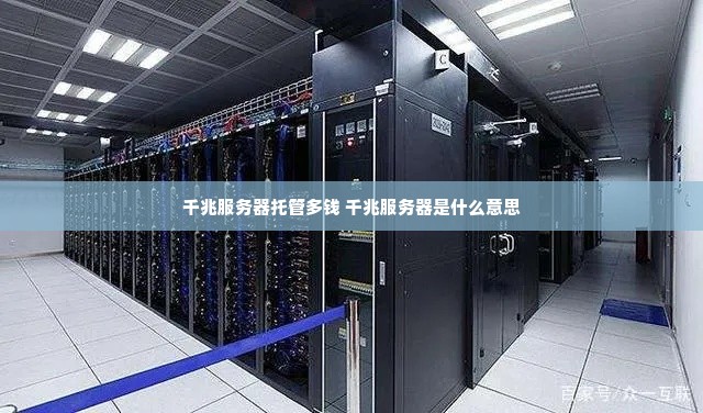 千兆服务器托管多钱 千兆服务器是什么意思