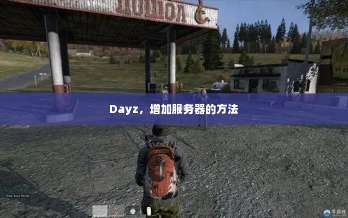 Dayz，增加服务器的方法