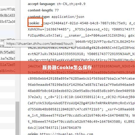 服务器Cookie怎么保存