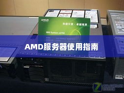 AMD服务器使用指南