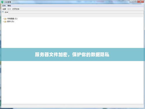 服务器文件加密，保护你的数据隐私