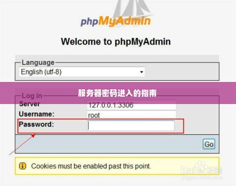 服务器密码进入的指南