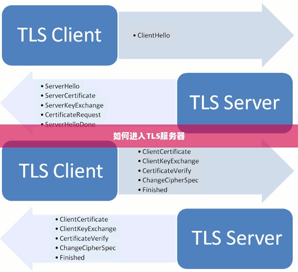 如何进入TLS服务器