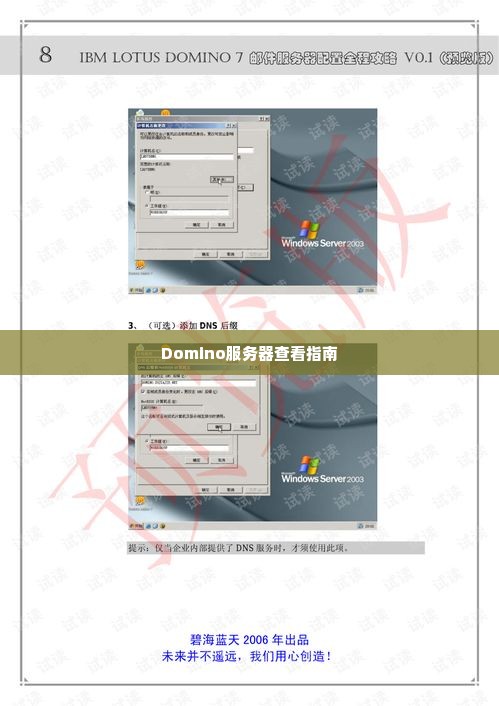 Domino服务器查看指南