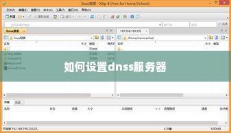 如何设置dnss服务器