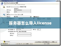 服务器怎么导入license