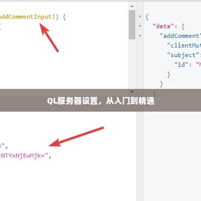 QL服务器设置，从入门到精通