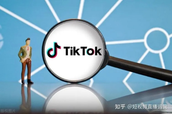 TikTok服务器配置指南