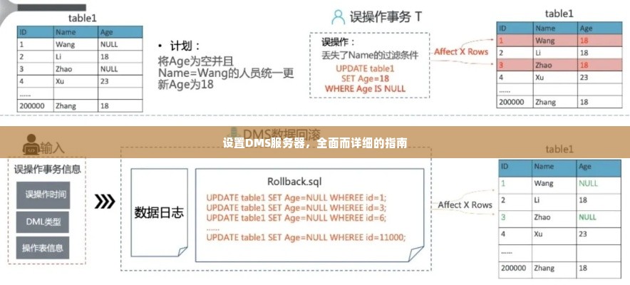 设置DMS服务器，全面而详细的指南