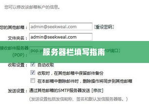 服务器栏填写指南