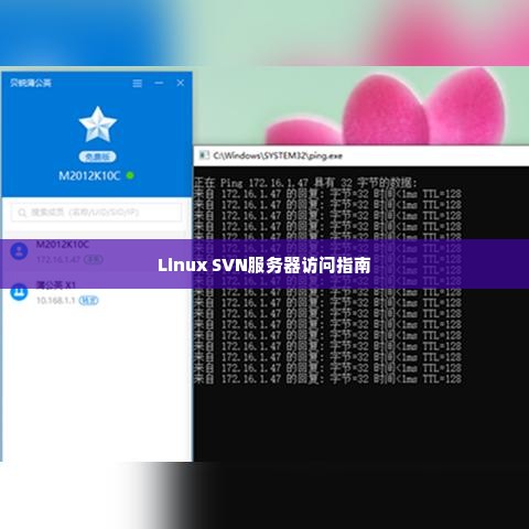 Linux SVN服务器访问指南