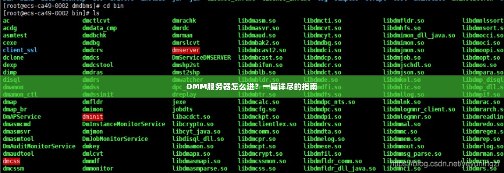DMM服务器怎么进？一篇详尽的指南