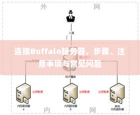 连接Buffalo服务器，步骤、注意事项与常见问题