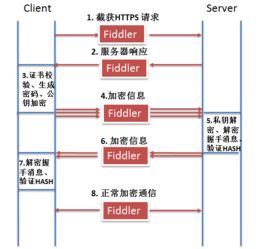 根服务器怎么建——从选址到实现的全面指南